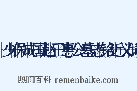 少保成国赵正惠公墓志铭近义词是什么意思的图片